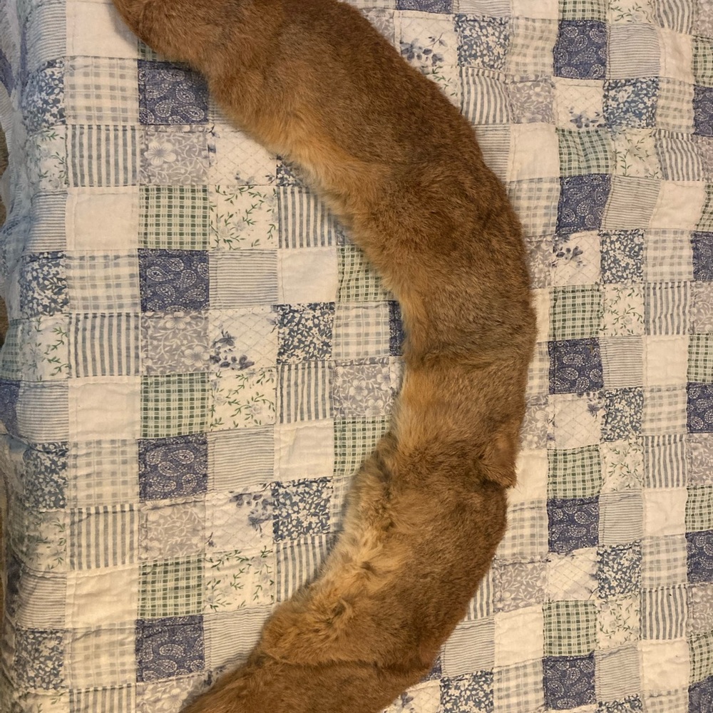 Vintage 1950s Luxurious Brown Fur Stole